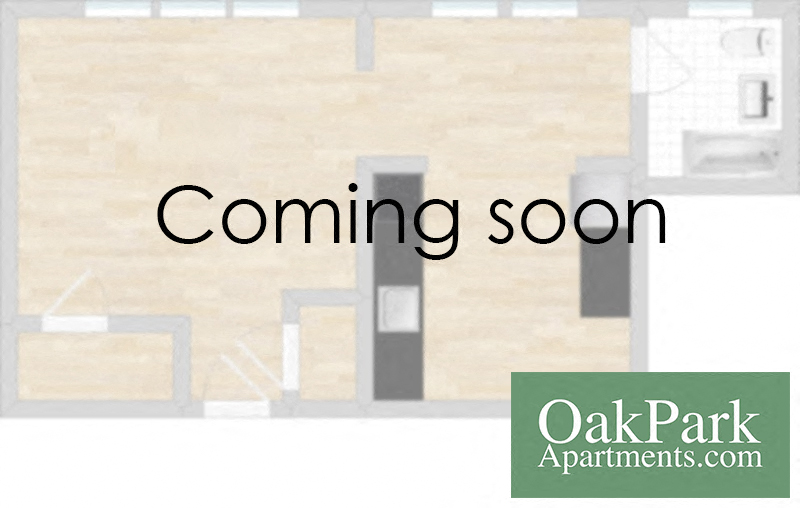 532 Des Plaines Ave. Studio-1 Bed Apartment for Rent - Photo Gallery 30